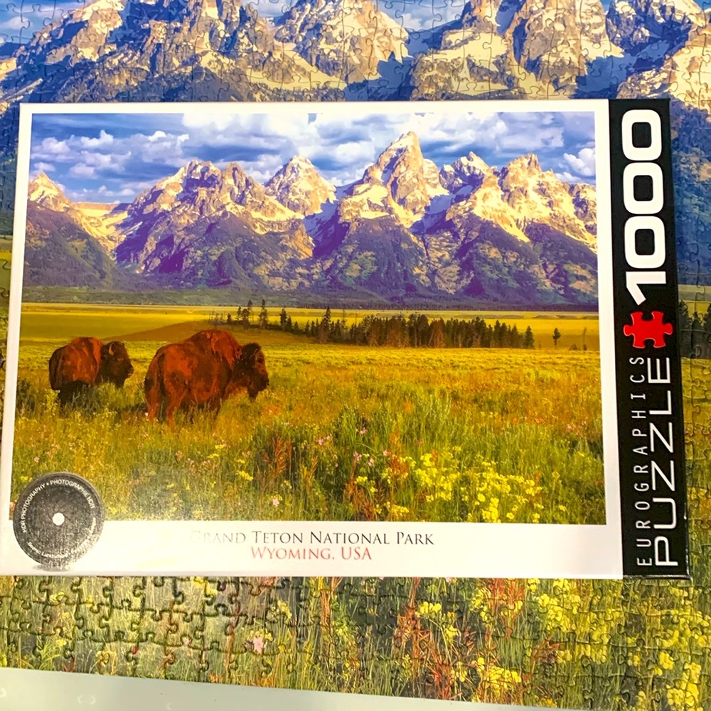 Eurographics 1000 pcs jigsaw puzzle “Grand Teton National Park” Wyoming